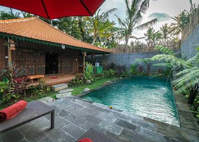 The Forest Villa Ubud