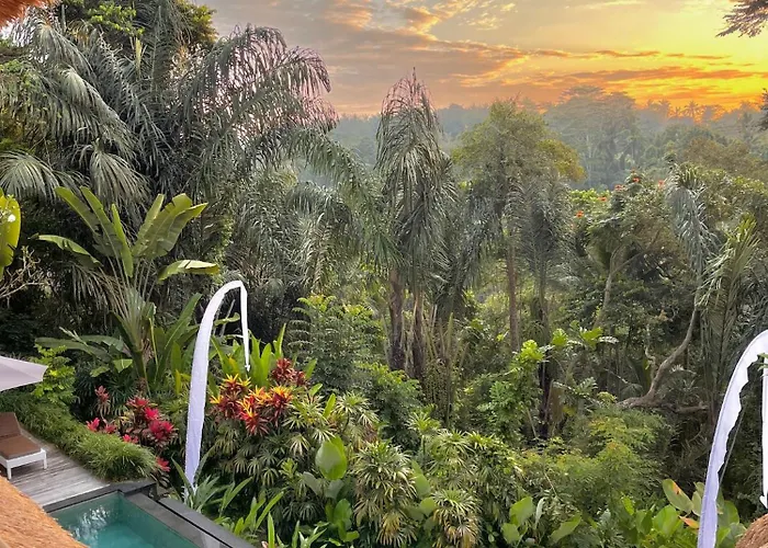 Private villas Shamballa